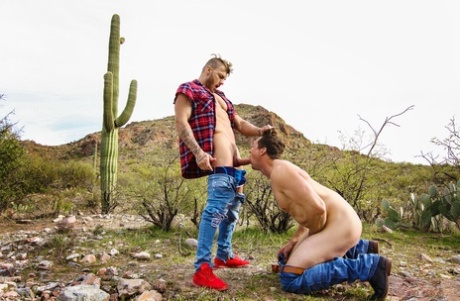 Well-hung lovers William Seed and Pierce Paris have attractive intimacy in nature