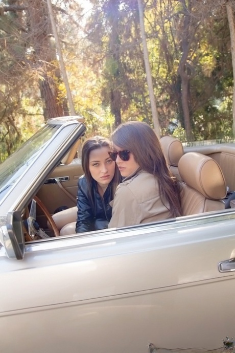 Alluring chick Dani Daniels making out with her same-sex female friend outdoor