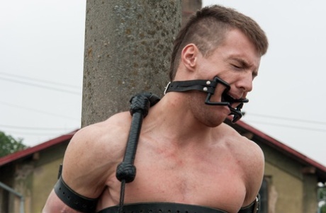 Blonde domme Lorelei Lee whips her helpless slave tied to a pole outdoors