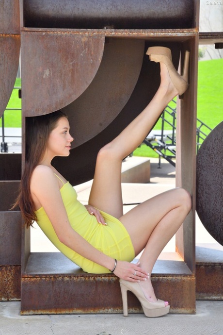 Glamour babe Selena shows her small breasts & spreads her shaved femininity in public